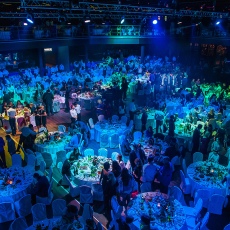 Gastronomic animation