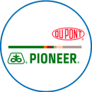 Наши клиенты-Pioneer